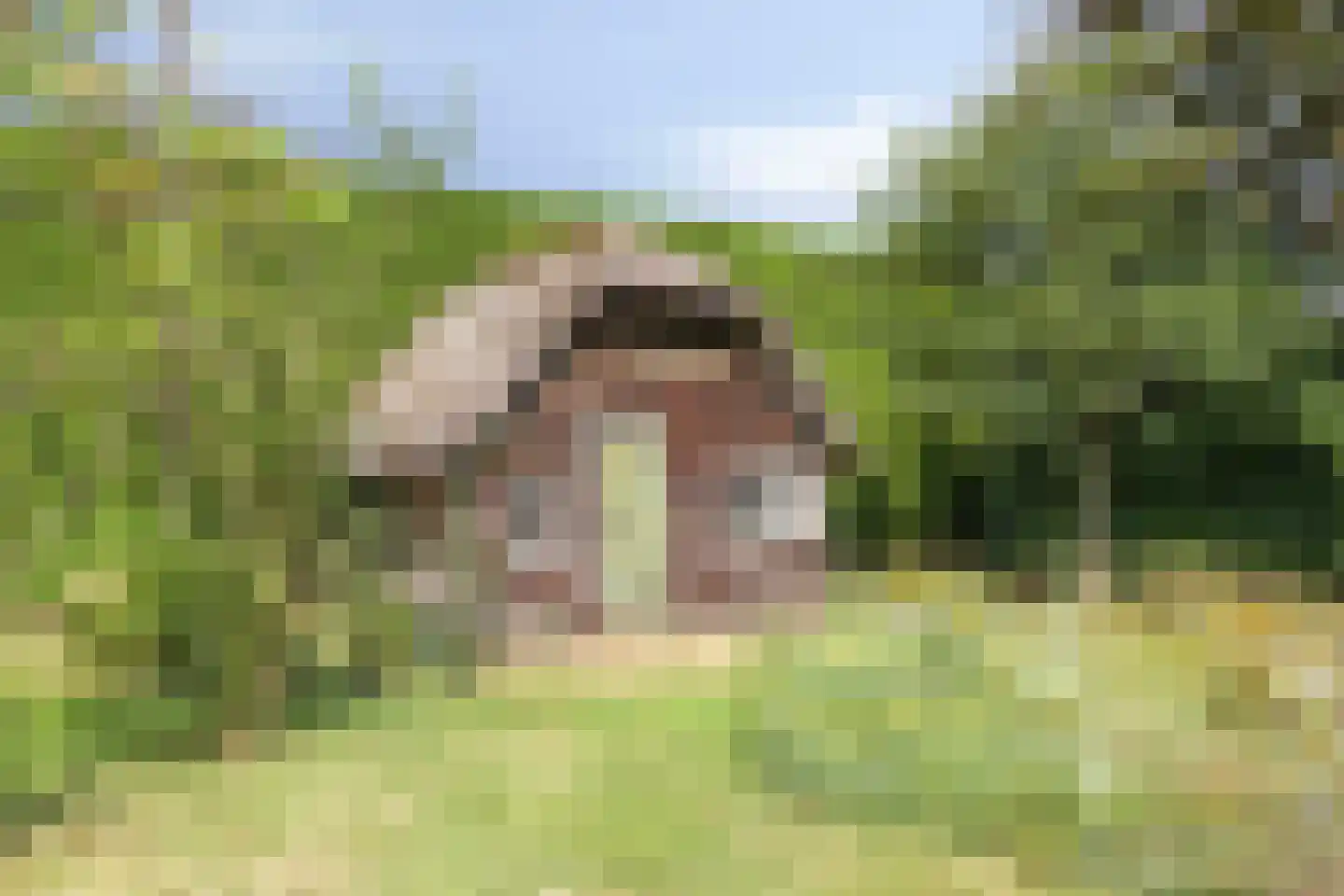 Hackforterweg 3 Wichmond thumbnail 54