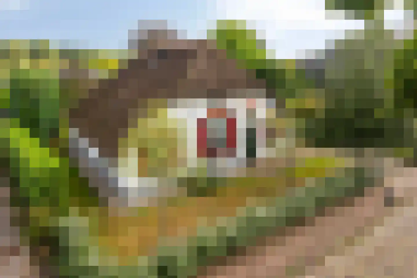 Hackforterweg 3 Wichmond thumbnail 57