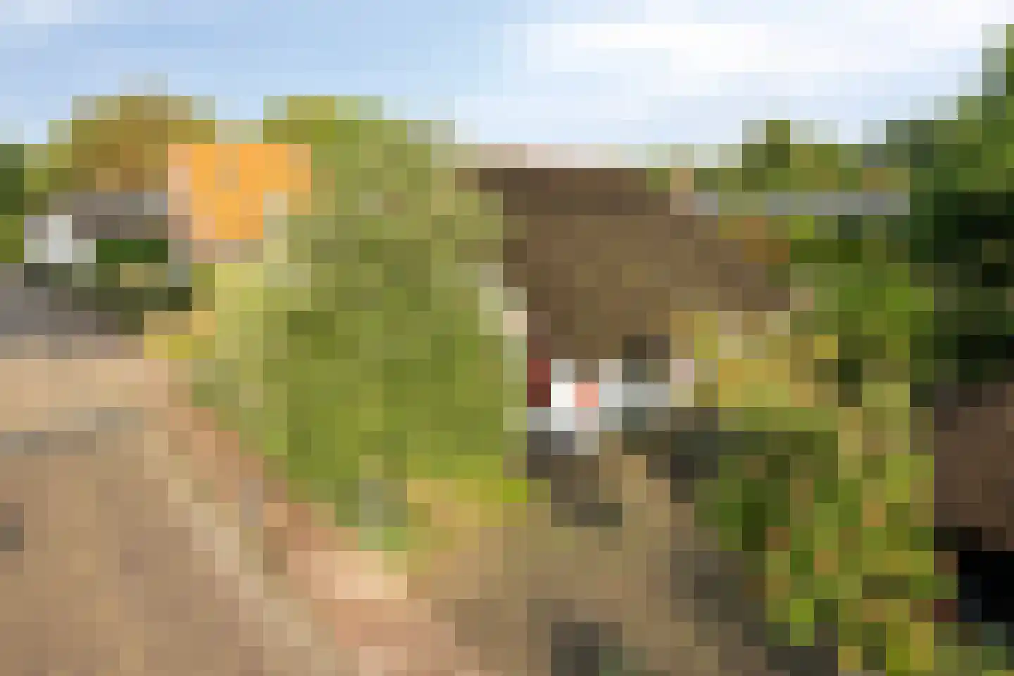 Hackforterweg 3 Wichmond thumbnail 59