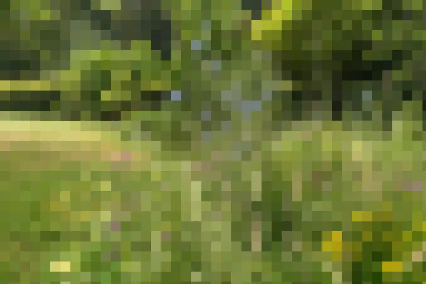 Hackforterweg 33 H 01 Wichmond thumbnail 10