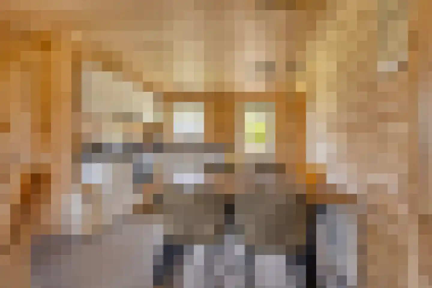 Hackforterweg 33 H 01 Wichmond thumbnail 19