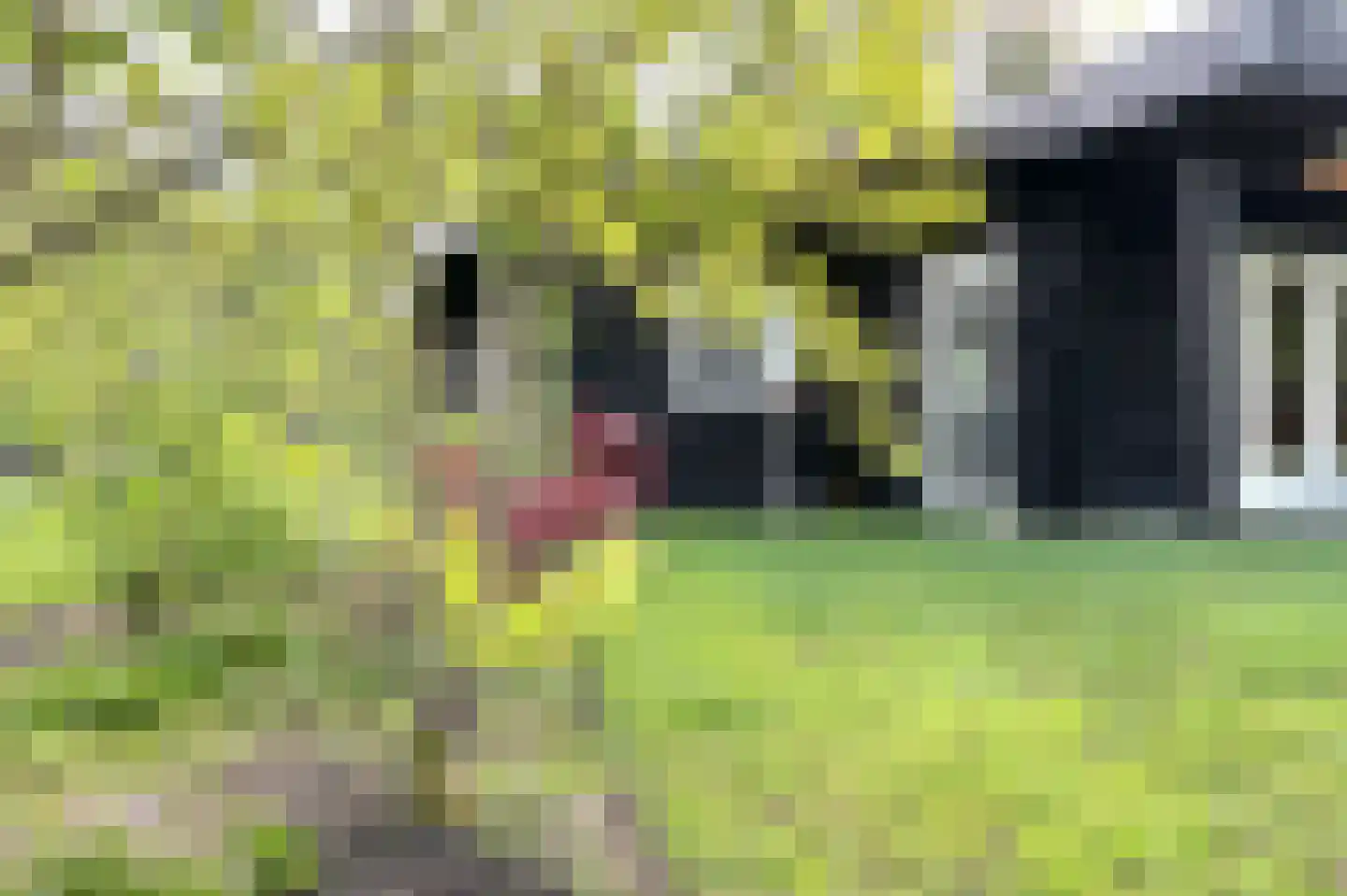 Hackforterweg 33 H 01 Wichmond thumbnail 28