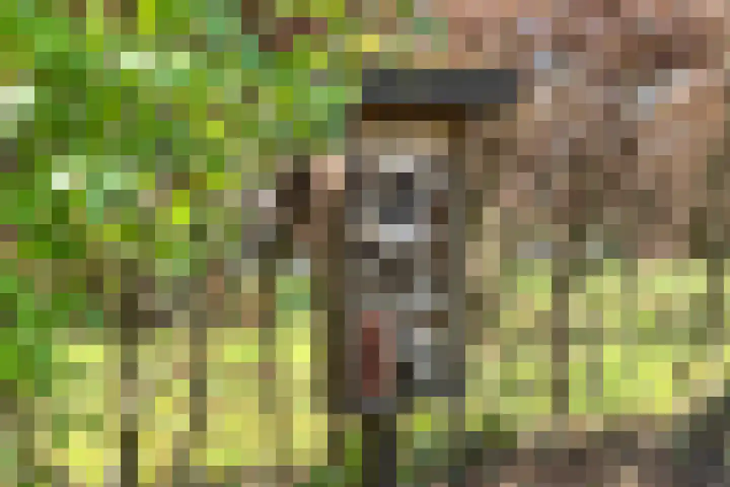 Hackforterweg 33 H 01 Wichmond thumbnail 29