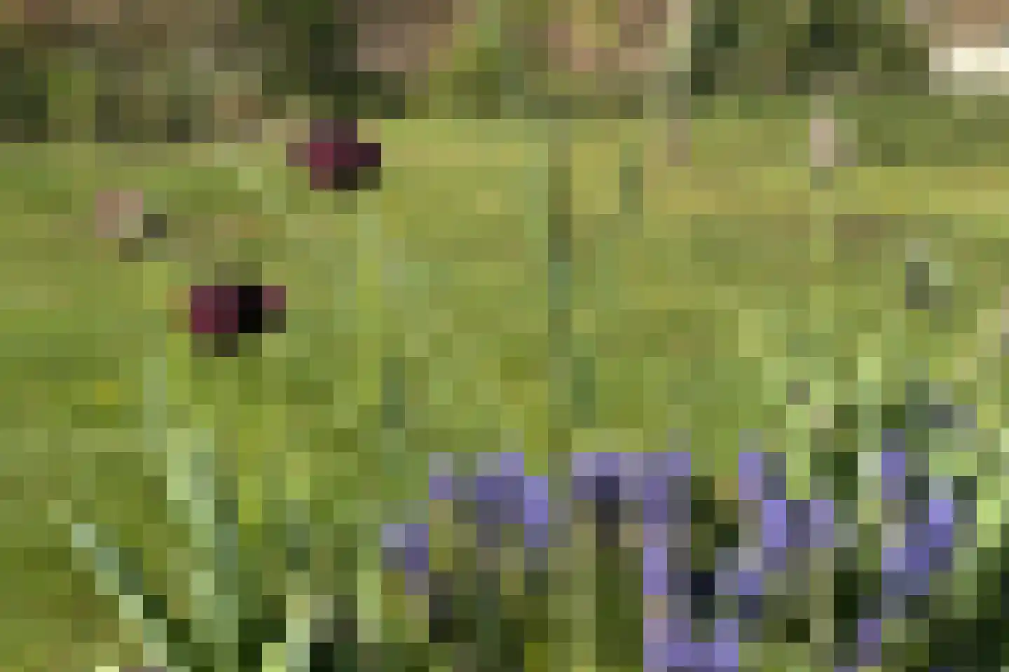 Hackforterweg 33 H 01 Wichmond thumbnail 30