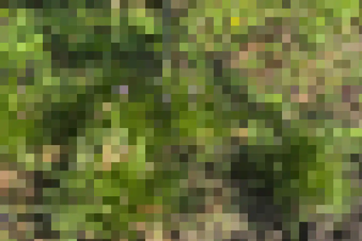 Hackforterweg 33 H 01 Wichmond thumbnail 31
