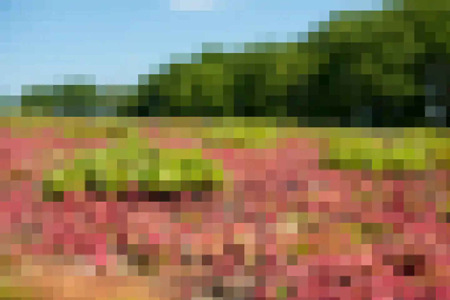 Hackforterweg 33 H 01 Wichmond thumbnail 31