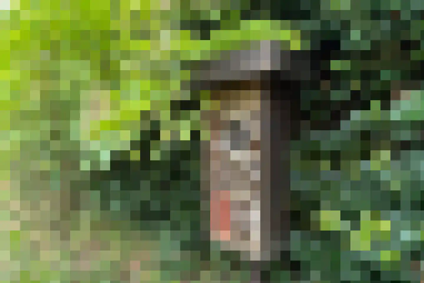 Hackforterweg 33 H 01 Wichmond thumbnail 32