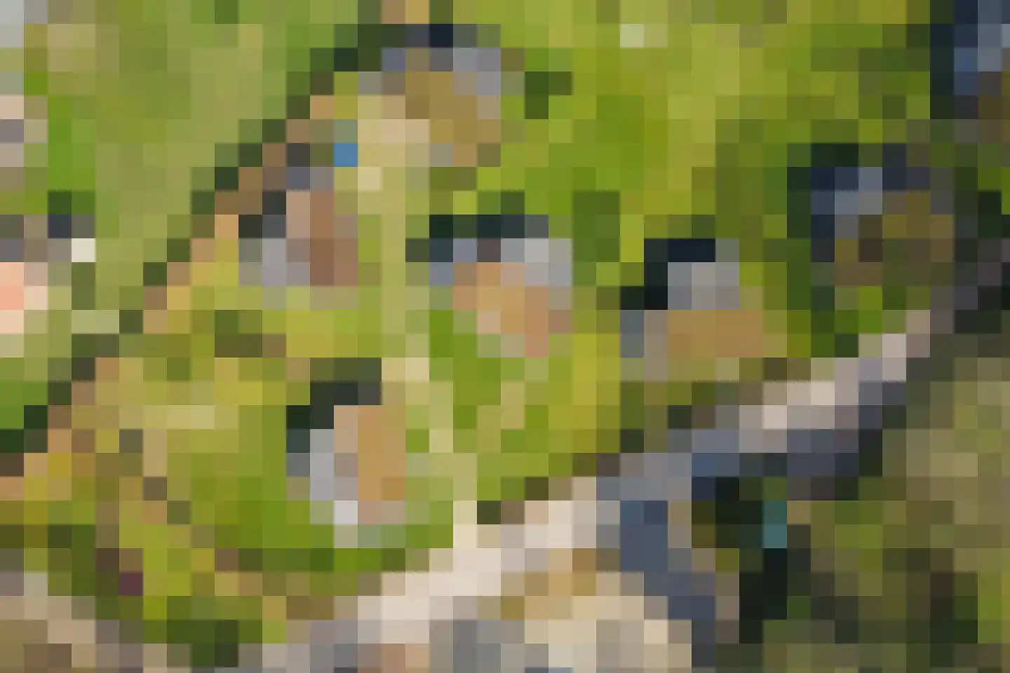 Hackforterweg 33 H 01 Wichmond thumbnail 34