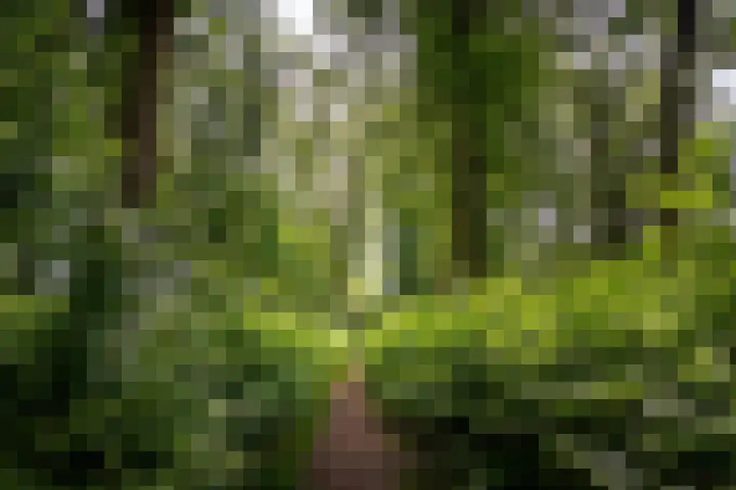 Hackforterweg 33 H 01 Wichmond thumbnail 39