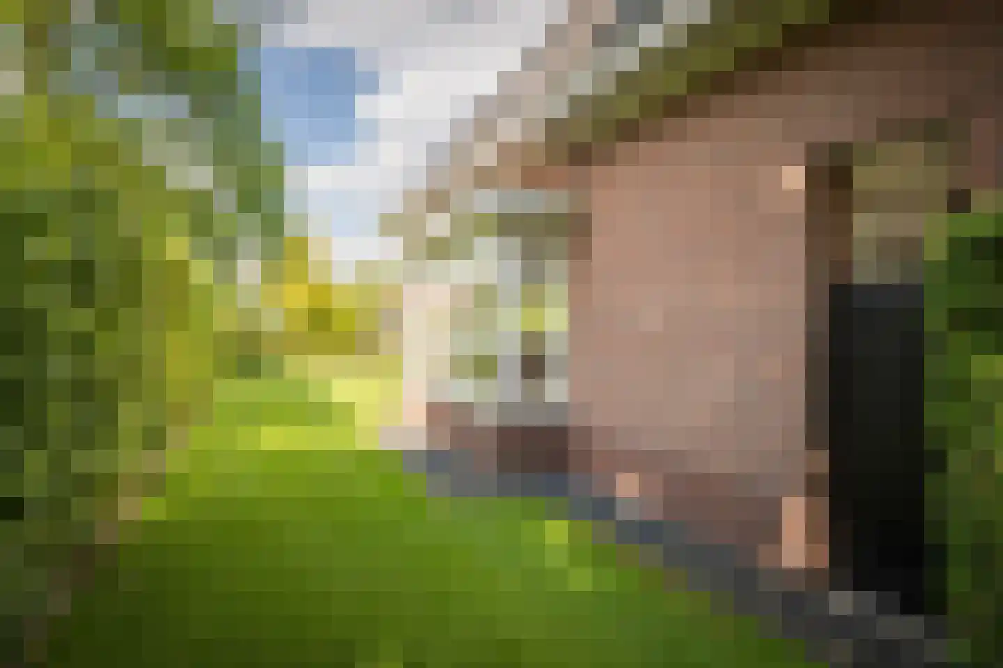 Hackforterweg 48 Wichmond thumbnail 38