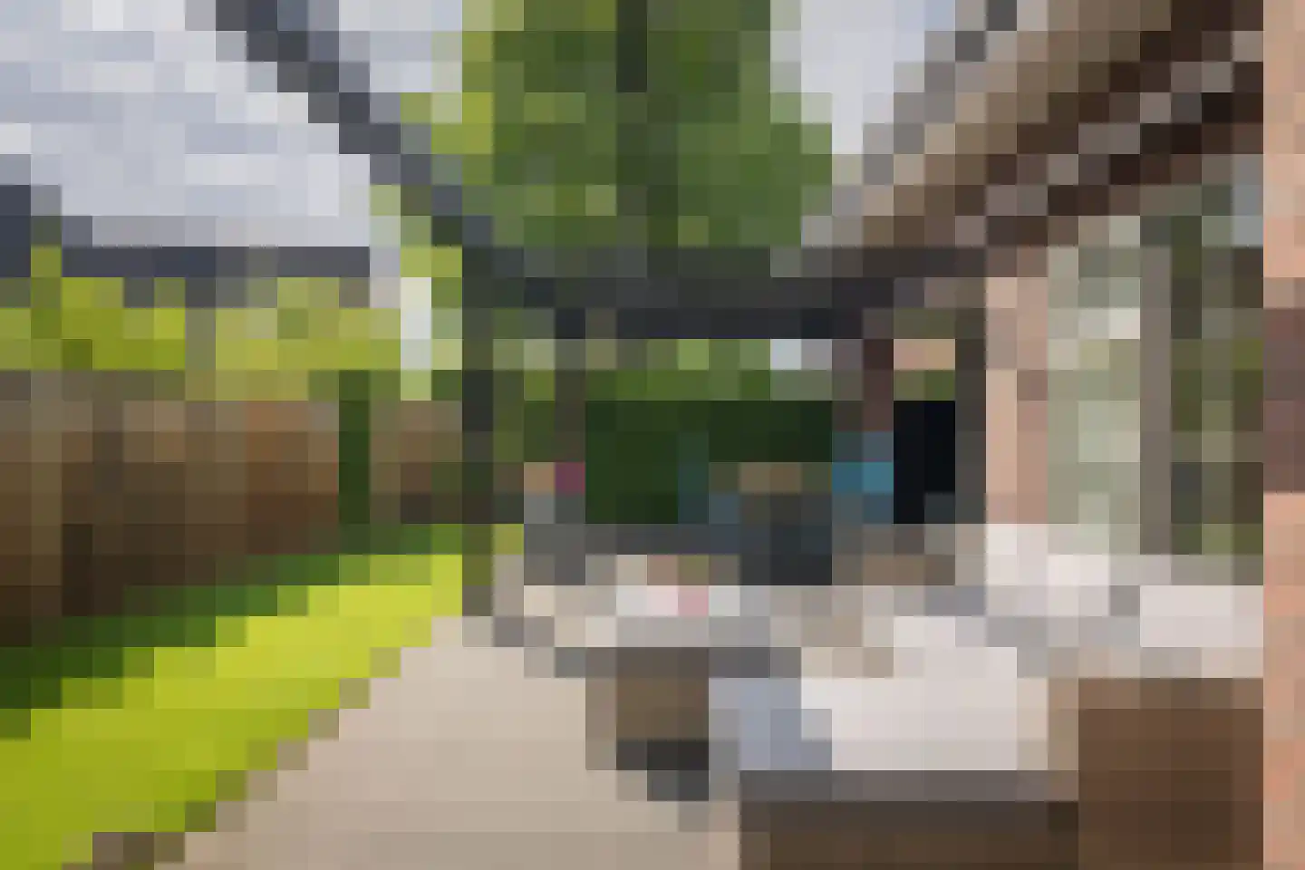 Hackforterweg 48 Wichmond thumbnail 41