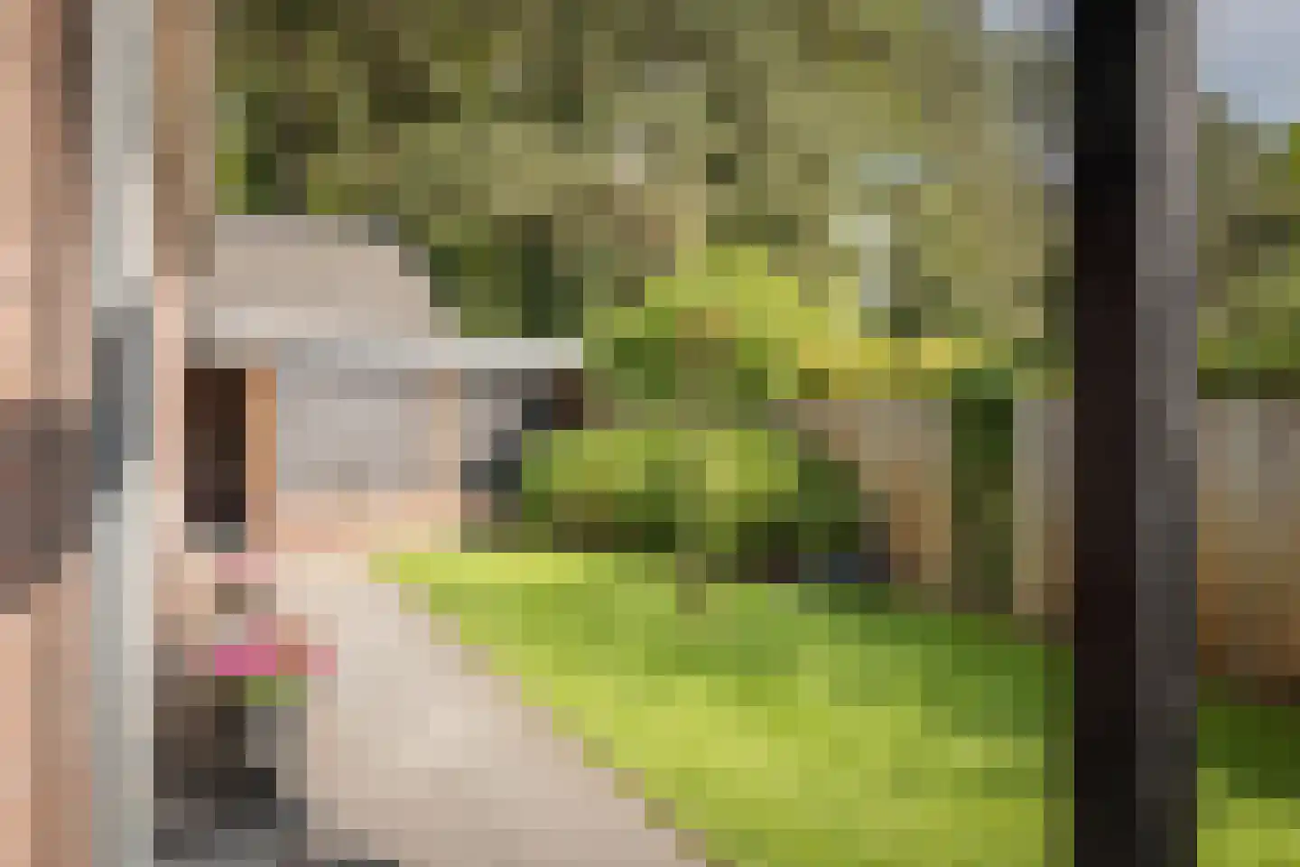 Hackforterweg 48 Wichmond thumbnail 46