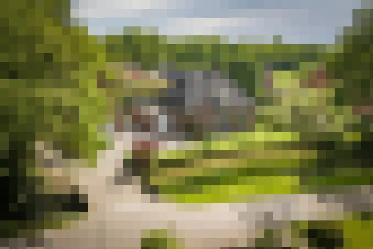 Hackforterweg 48 Wichmond thumbnail 51
