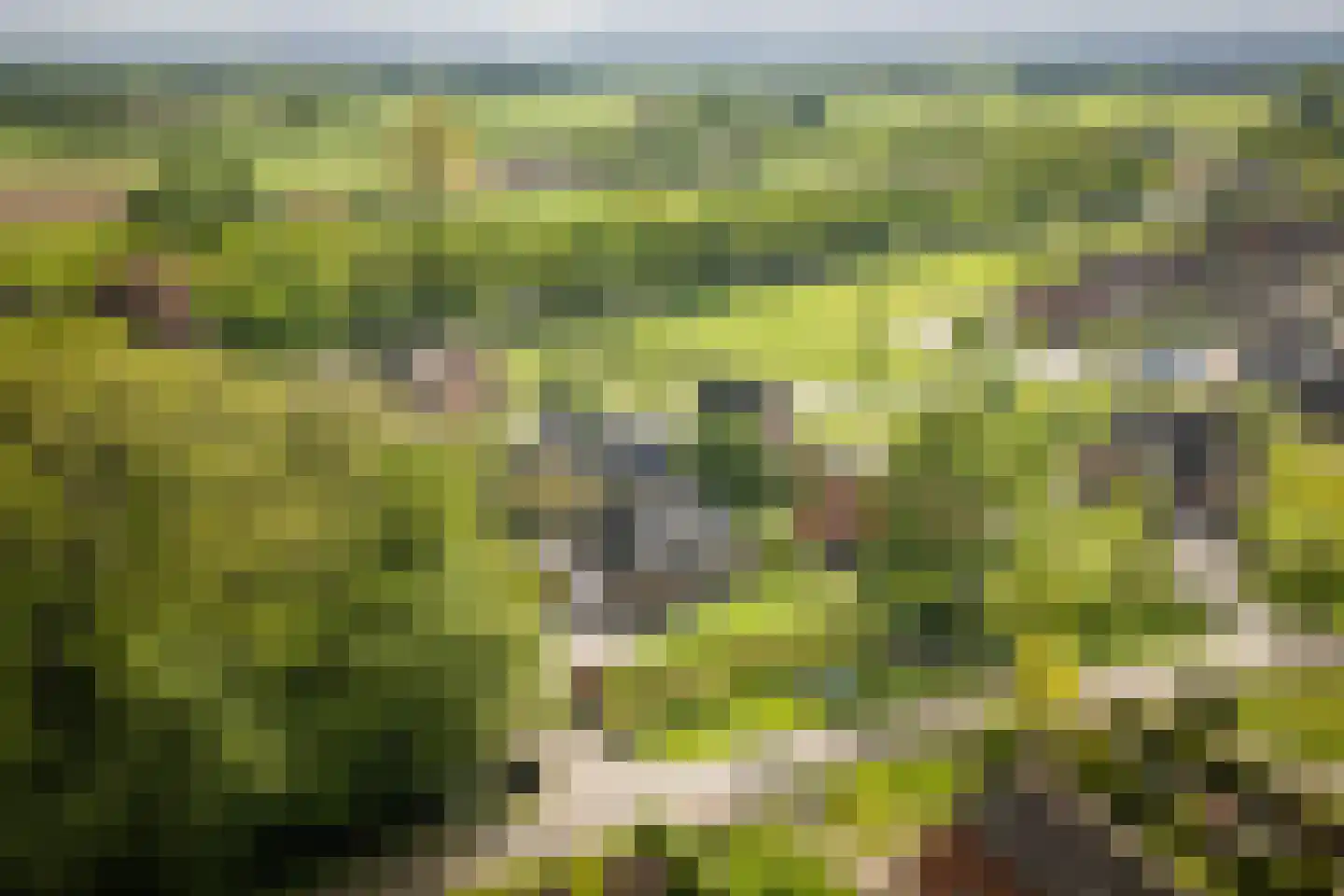 Hackforterweg 48 Wichmond thumbnail 52