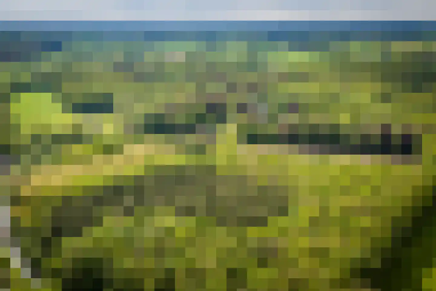 Hackforterweg 48 Wichmond thumbnail 54