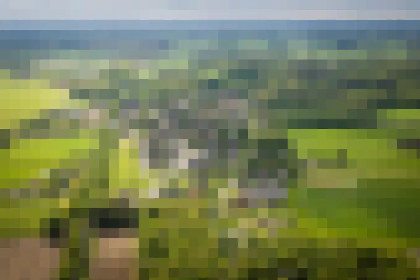Hackforterweg 48 Wichmond thumbnail 56
