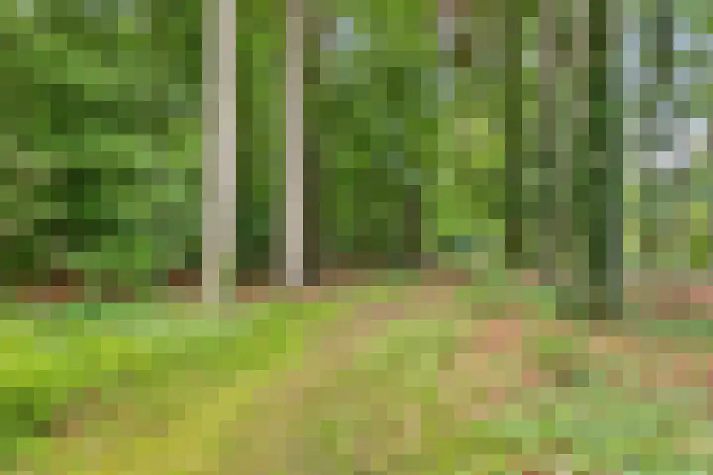 Hackforterweg 5 Wichmond thumbnail 34