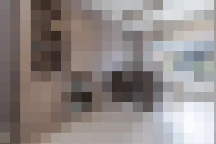 Hackfortlaan 49 Barneveld thumbnail 7
