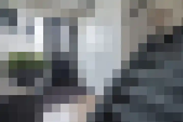 Hackfortlaan 67 Barneveld thumbnail 16