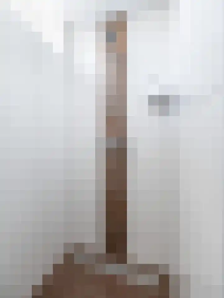 Hackfortlaan 67 Barneveld thumbnail 30