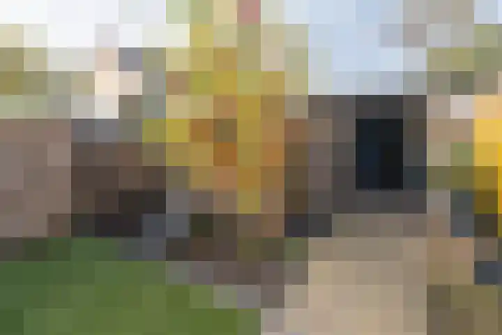 Hackfortlaan 67 Barneveld thumbnail 44