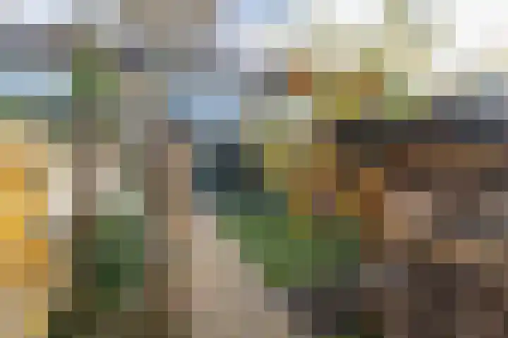 Hackfortlaan 67 Barneveld thumbnail 45