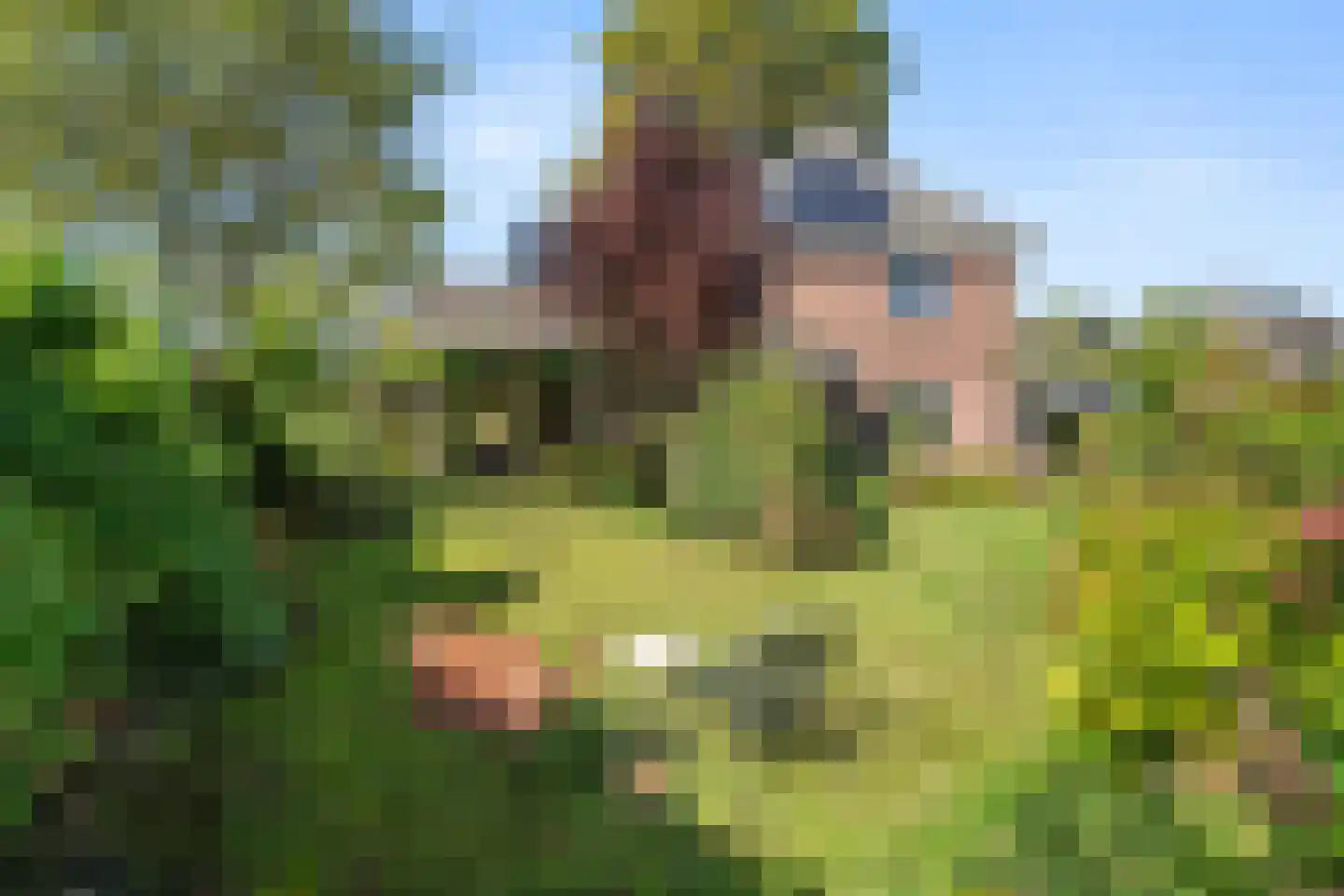Hackfortsgoed 31 Bennekom thumbnail 40