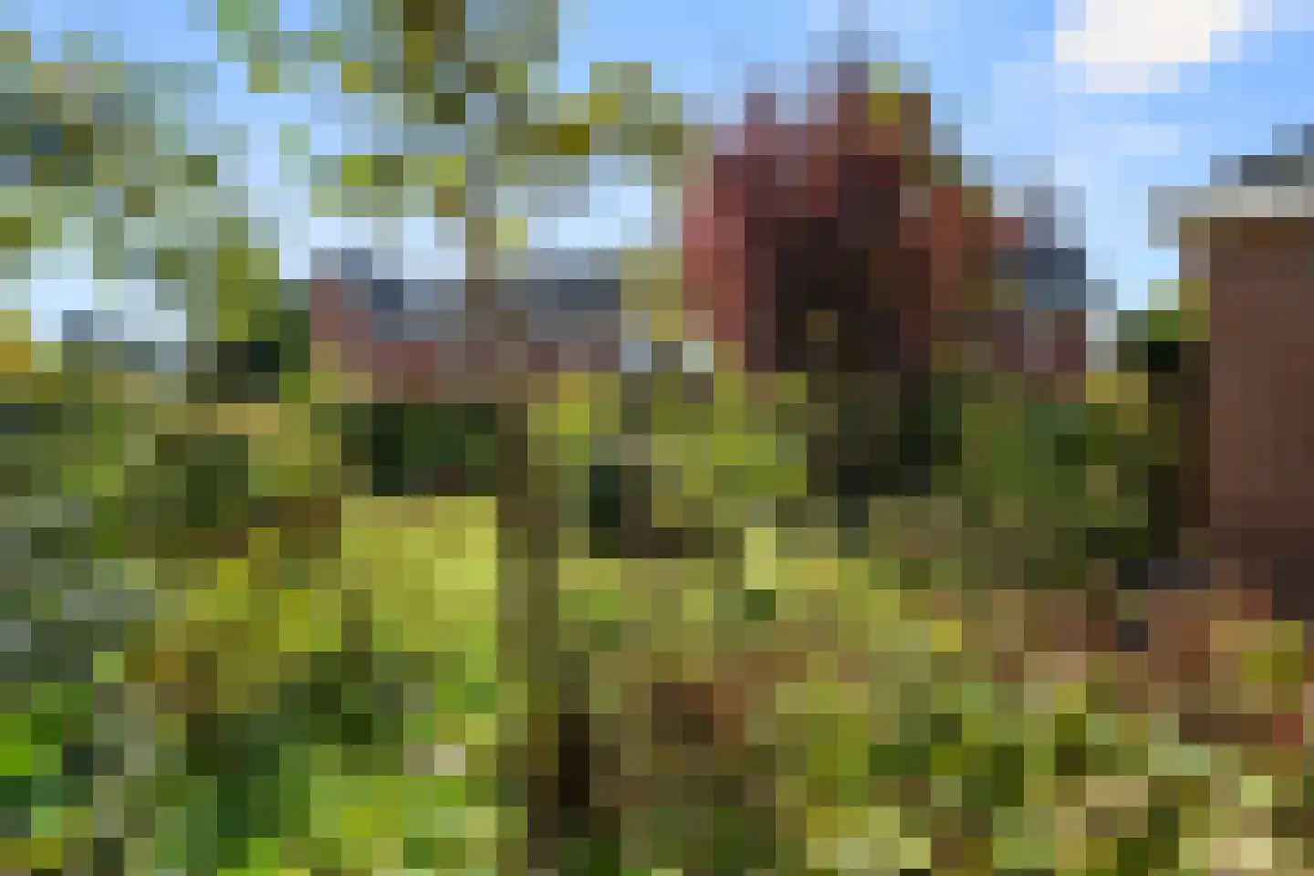 Hackfortsgoed 31 Bennekom thumbnail 41