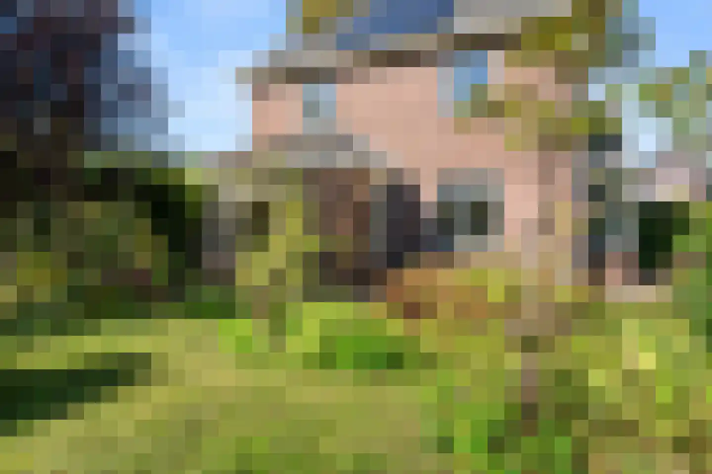 Hackfortsgoed 31 Bennekom thumbnail 42