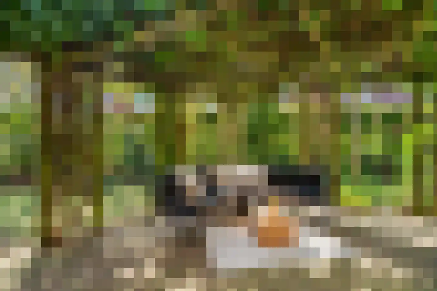 Hackfortsgoed 31 Bennekom thumbnail 45