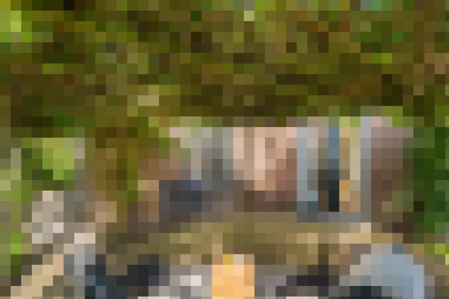 Hackfortsgoed 31 Bennekom thumbnail 47