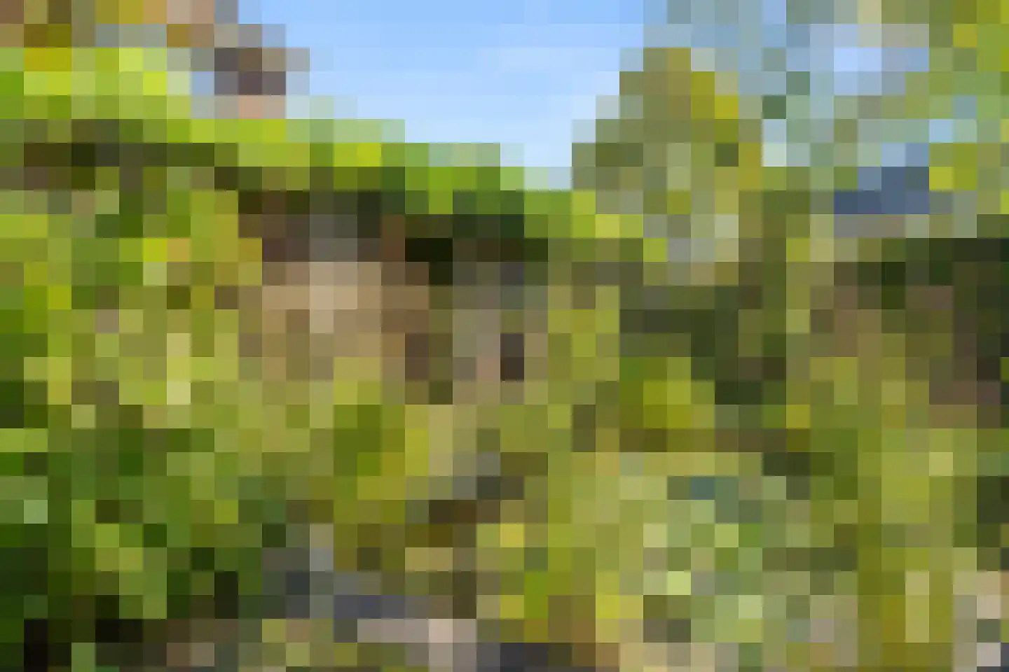 Hackfortsgoed 31 Bennekom thumbnail 49
