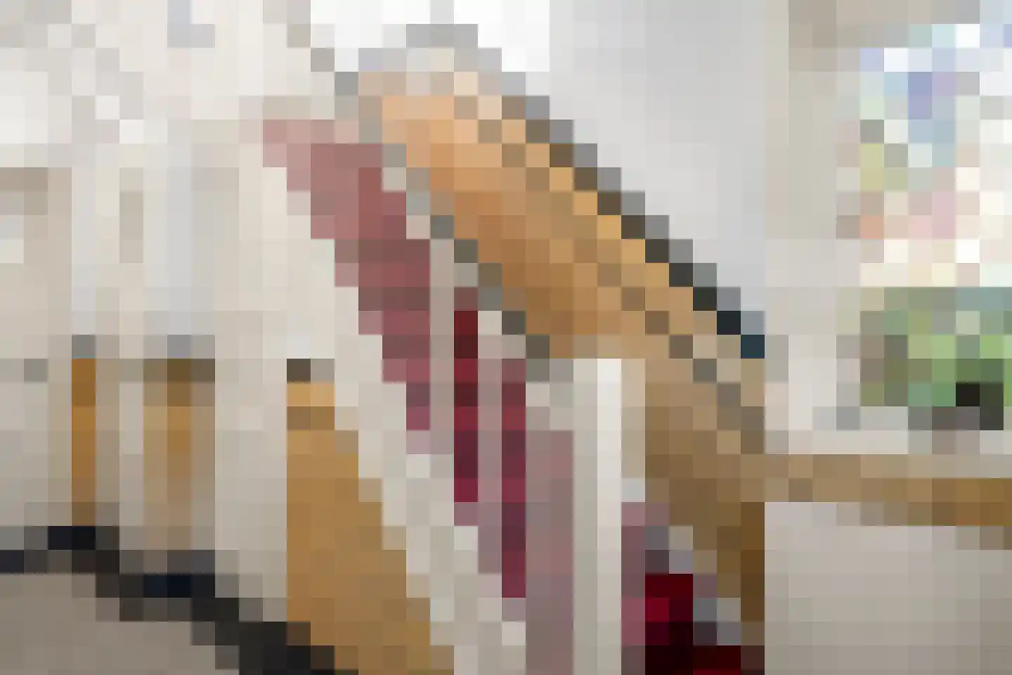 Hackfortsgoed 31 Bennekom thumbnail 9