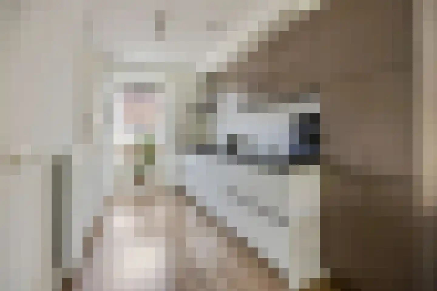 Hackfortsgoed 65 Bennekom thumbnail 9