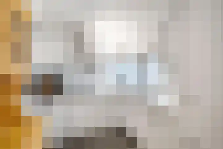 Hackfortstraat 27 Hellevoetsluis thumbnail 11