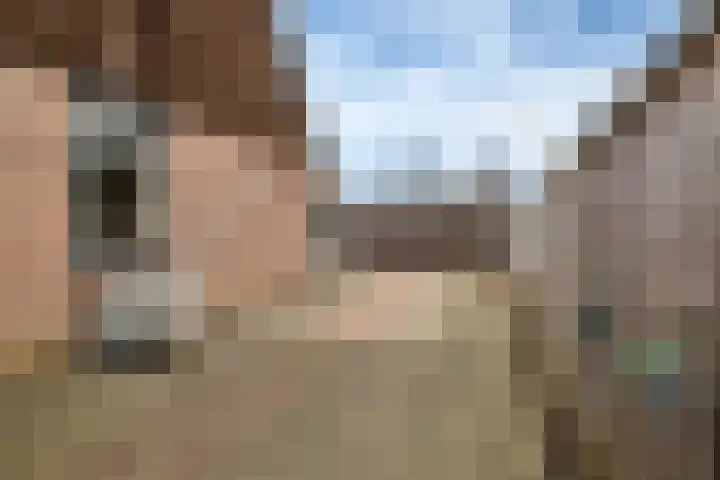 Hackfortstraat 27 Hellevoetsluis thumbnail 17