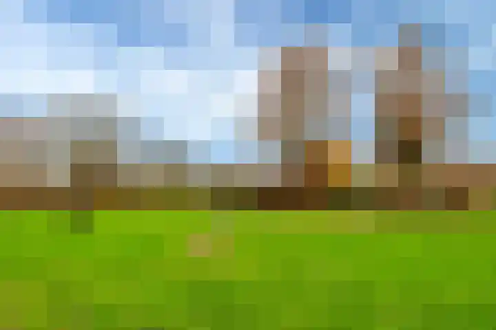 Hackfortstraat 27 Hellevoetsluis thumbnail 6