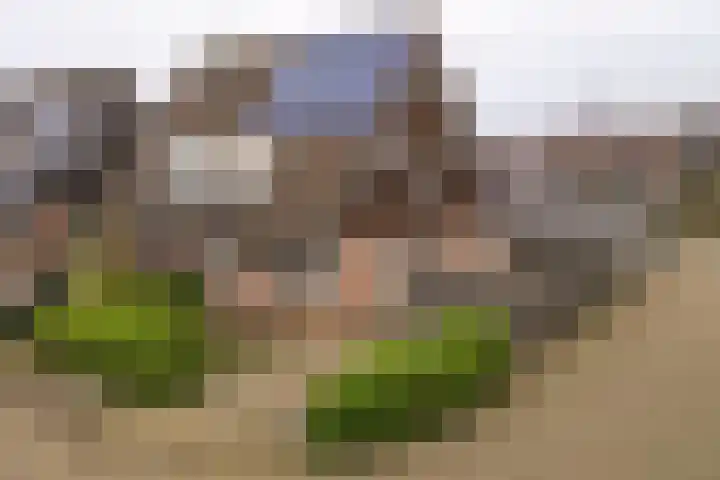 Hackfortstraat 27 Hellevoetsluis thumbnail 7