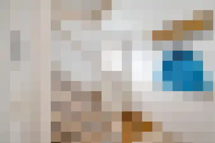 Hackfortstraat 27 Hellevoetsluis thumbnail 9