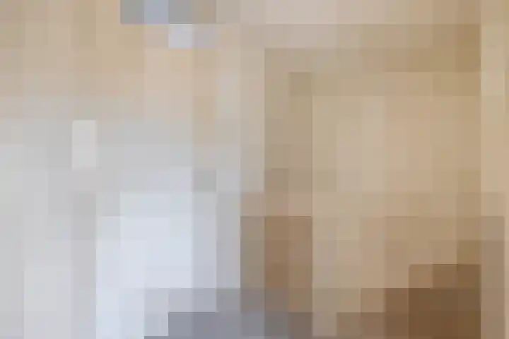 Hackfortstraat 3 Nijmegen thumbnail 11