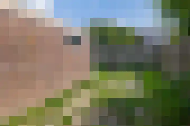 Hackfortstraat 3 Nijmegen thumbnail 17