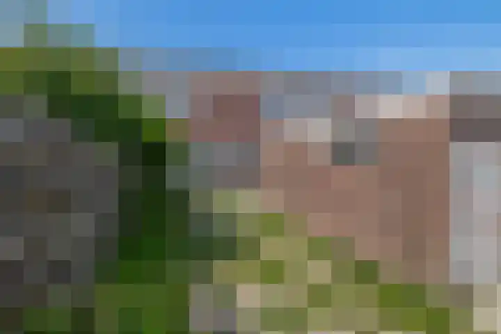 Hackfortstraat 3 Nijmegen thumbnail 18