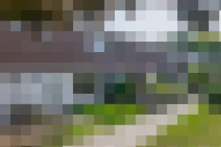 Hackfortstraat 3 Nijmegen thumbnail 21