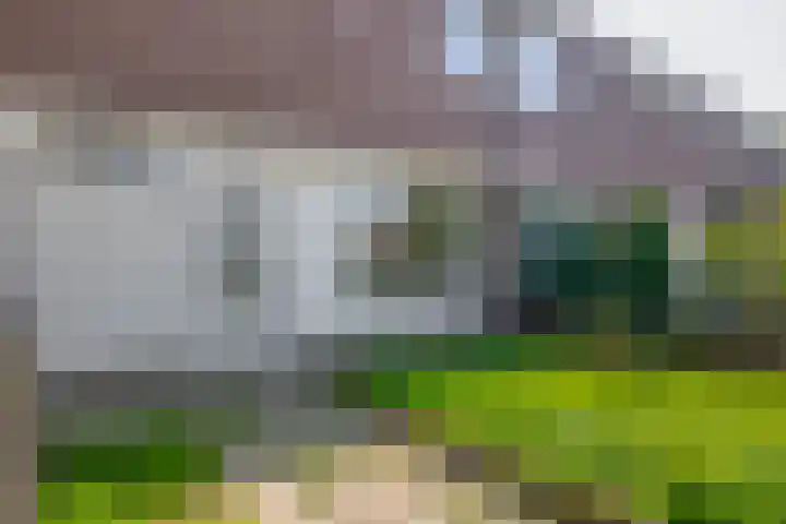 Hackfortstraat 3 Nijmegen thumbnail 22