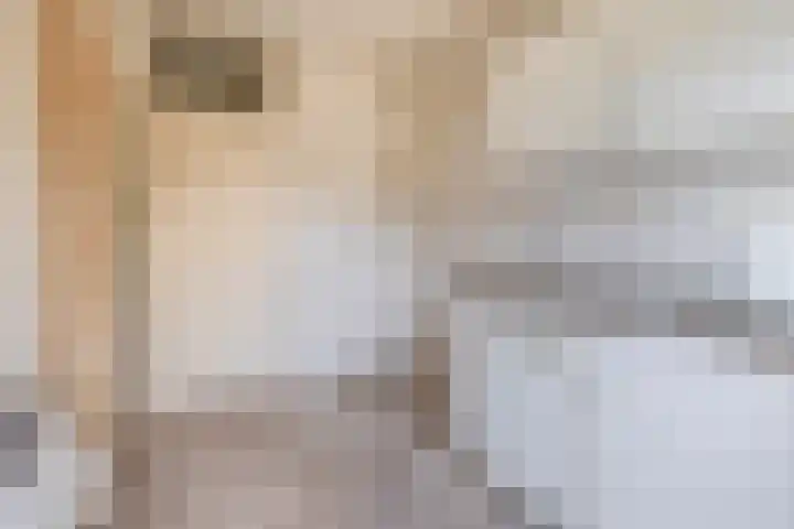 Hackfortstraat 3 Nijmegen thumbnail 9