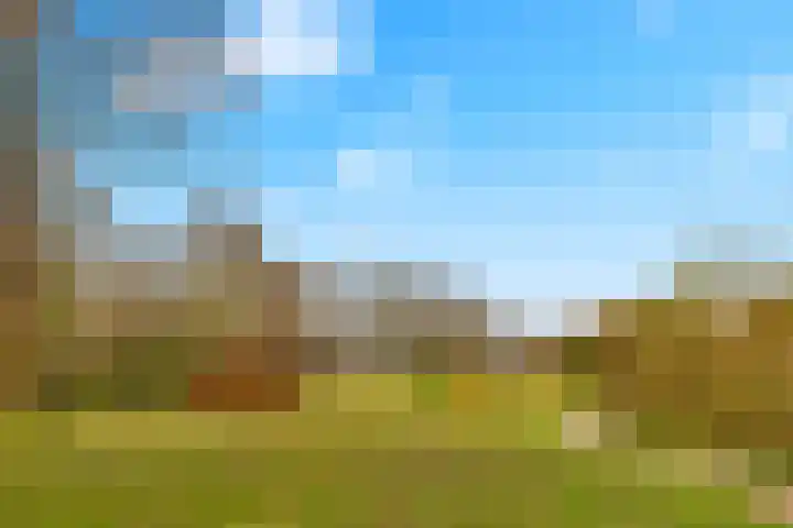 Hackfortstraat 36 Hellevoetsluis thumbnail 31