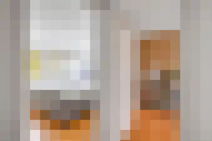 Hackfortstraat 36 Hellevoetsluis thumbnail 36