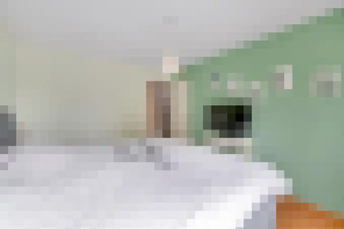 Hackfortstraat 36 Hellevoetsluis thumbnail 38