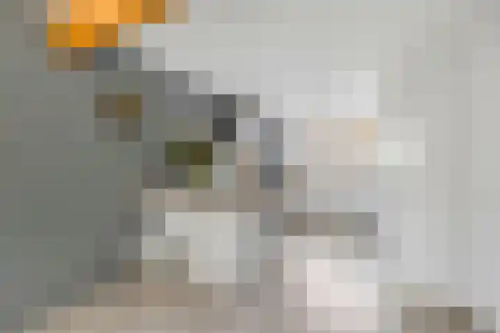 Hackfortstraat 36 Hellevoetsluis thumbnail 4