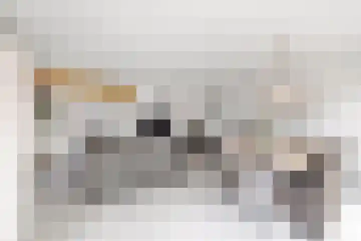 Hackfortstraat 36 Hellevoetsluis thumbnail 5